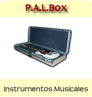 Estuches guitarras